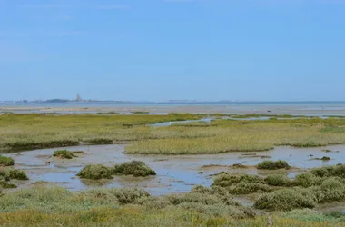 Entre terre, mer et marais