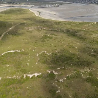 Sortie nature ” Les dunes de Lindbergh au printemps”