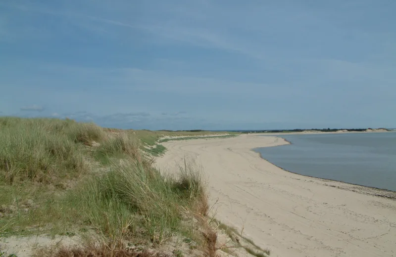 La plage et les dunes  (RNN Beauguillot)