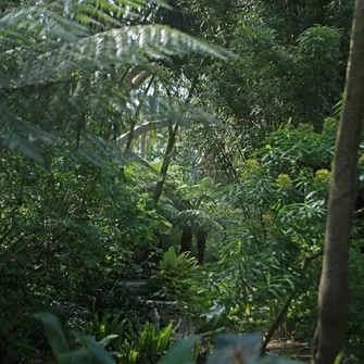 Jardin botanique de Vauville