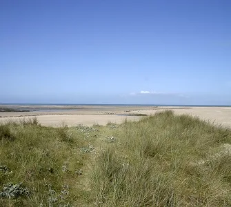 La plage et les dunes