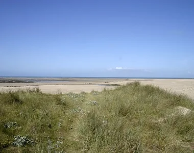 La plage et les dunes