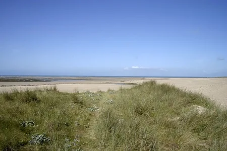 La plage et les dunes