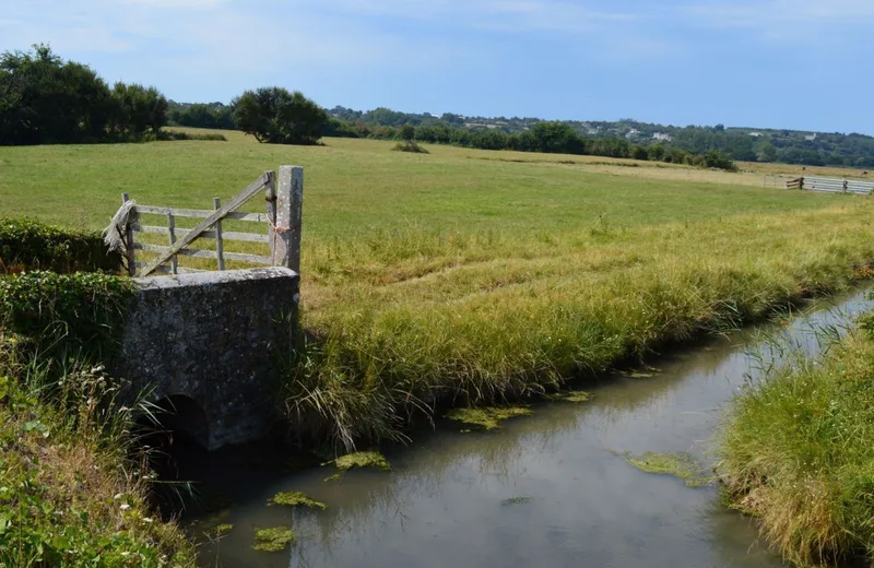 Entre terre, mer et marais