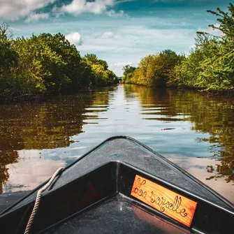 Les Bateliers des Marais du Cotentin > Location de barques électriques