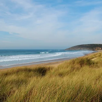 Plage du Rozel