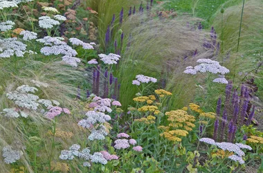 Jardin Terre d’Aïeuls