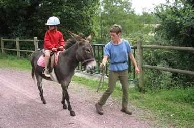 Randonnée avec des ânes > Autour de l’Âne