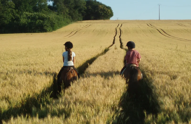 Poney-club de Laizé/Centre équestre