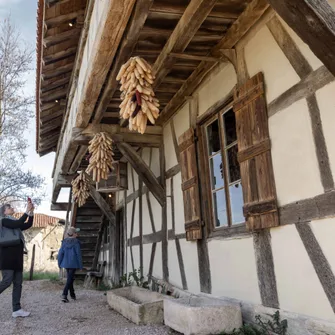 Ferme de la Forêt