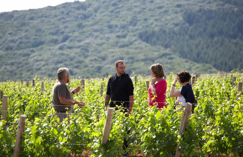 Découvrir un authentique domaine viticole du Mâconnais