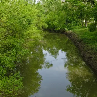 Une matinée pour découvrir la Reyssouze à Pont-de-Vaux