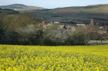 Manoir des Grandes Vignes