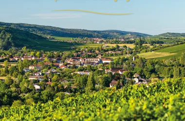 Union des Producteurs de Vins Mâcon