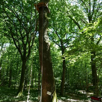 Lugny Acro’ – Parcours d’aventure en forêt