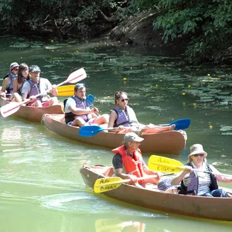 Sortie en kayak au crépuscule