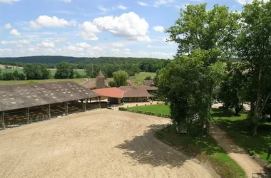 Poney-club de Laizé/Centre équestre