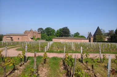 Château de Vinzelles