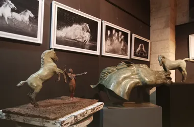 Exposition – Les chevaux celestes