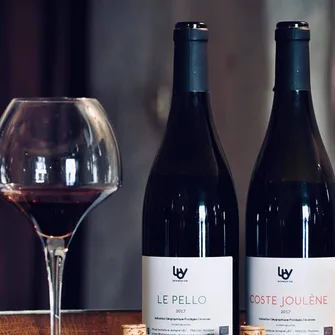 Domaine Le Breton Vial