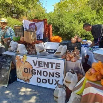 L’oignon doux de Vers Pont du Gard – JEP