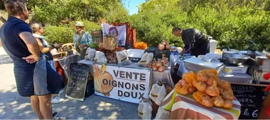 L’oignon doux de Vers Pont du Gard – JEP