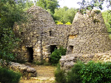 Balade à la découverte des plantes sauvages comestibles aux capitelles de Blauzac