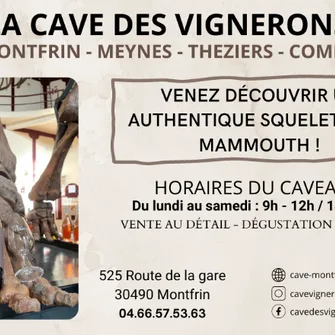 Cave des Vignerons de Montfrin