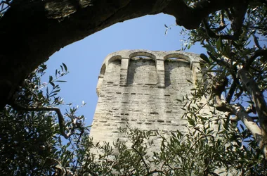 Le jardin médiéval d’Uzès et ses tours