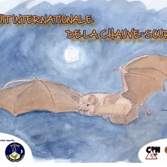 La nuit internationale de la chauve-souris