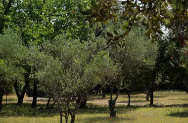 Boucle de l’Uzège Pont du Gard