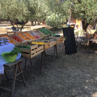 Marché à la ferme et balade dans le potager