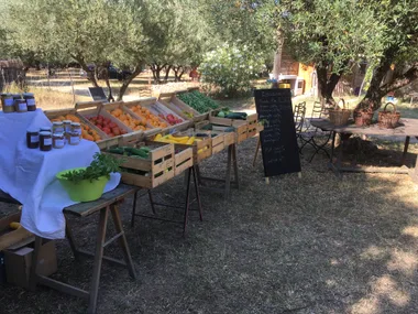 Marché à la ferme et balade dans le potager