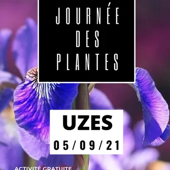 Dimanches d’Uzès – Journée des plantes & ses dérivés