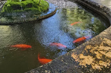 La Fontaine aux Poissons Rouges