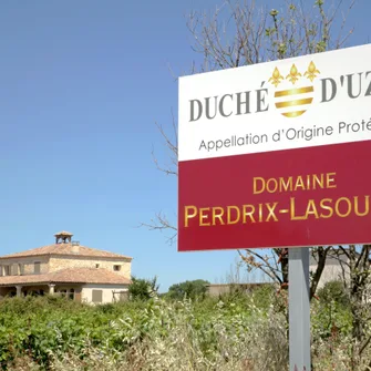 Domaine Perdrix-Lasouche