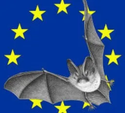 La nuit internationale de la chauve-souris