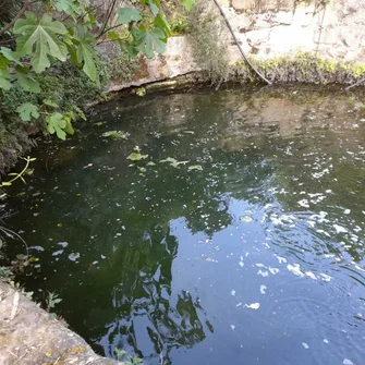 Visite guidée – Découverte de la fontaine miraculeuse de Font Cluse – JEP