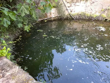 Visite guidée – Découverte de la fontaine miraculeuse de Font Cluse – JEP