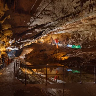 Grotte de la Cocalière