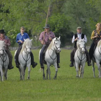 Camargue Découverte – Bureau de renseignements et de réservations