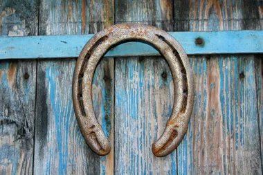 Visites guidées du Haras National d’Uzès – Uzès, Ville d’art et d’histoire