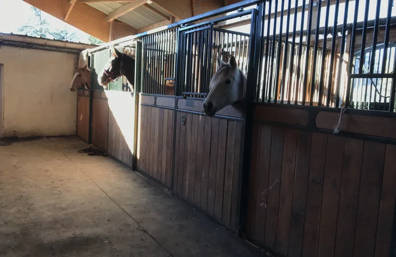 Centre équestre Poney Club du Lys