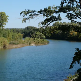 Baignade à Remoulins