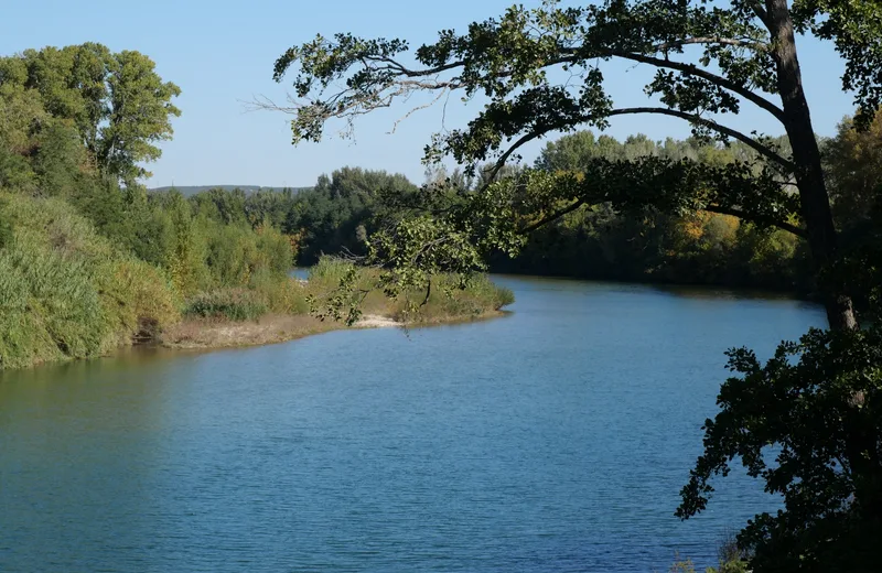 Baignade à Remoulins