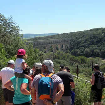 Balade à la découverte des plantes sauvages comestibles au Pont du Gard