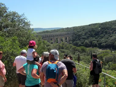 Balade à la découverte des plantes sauvages comestibles au Pont du Gard