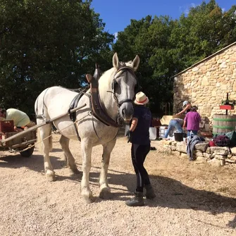 Sortie familiale à l’écurie de Font Clarette