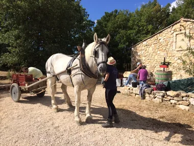 Sortie familiale à l’écurie de Font Clarette