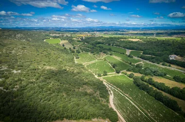 Les Collines du Bourdic – Caveau de St-Maximin